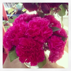 Hot Pink Carnations look like an explosion of gorgeousness to me!